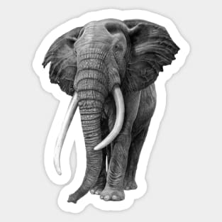 Bull elephant - Drawing in pencil Sticker